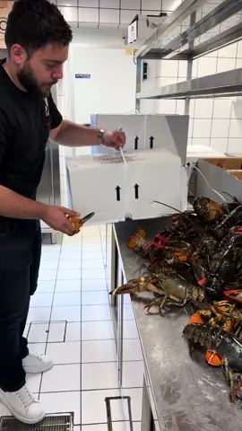 🤔🦞
