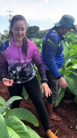 Capação de fumo#family #mocadaroca 