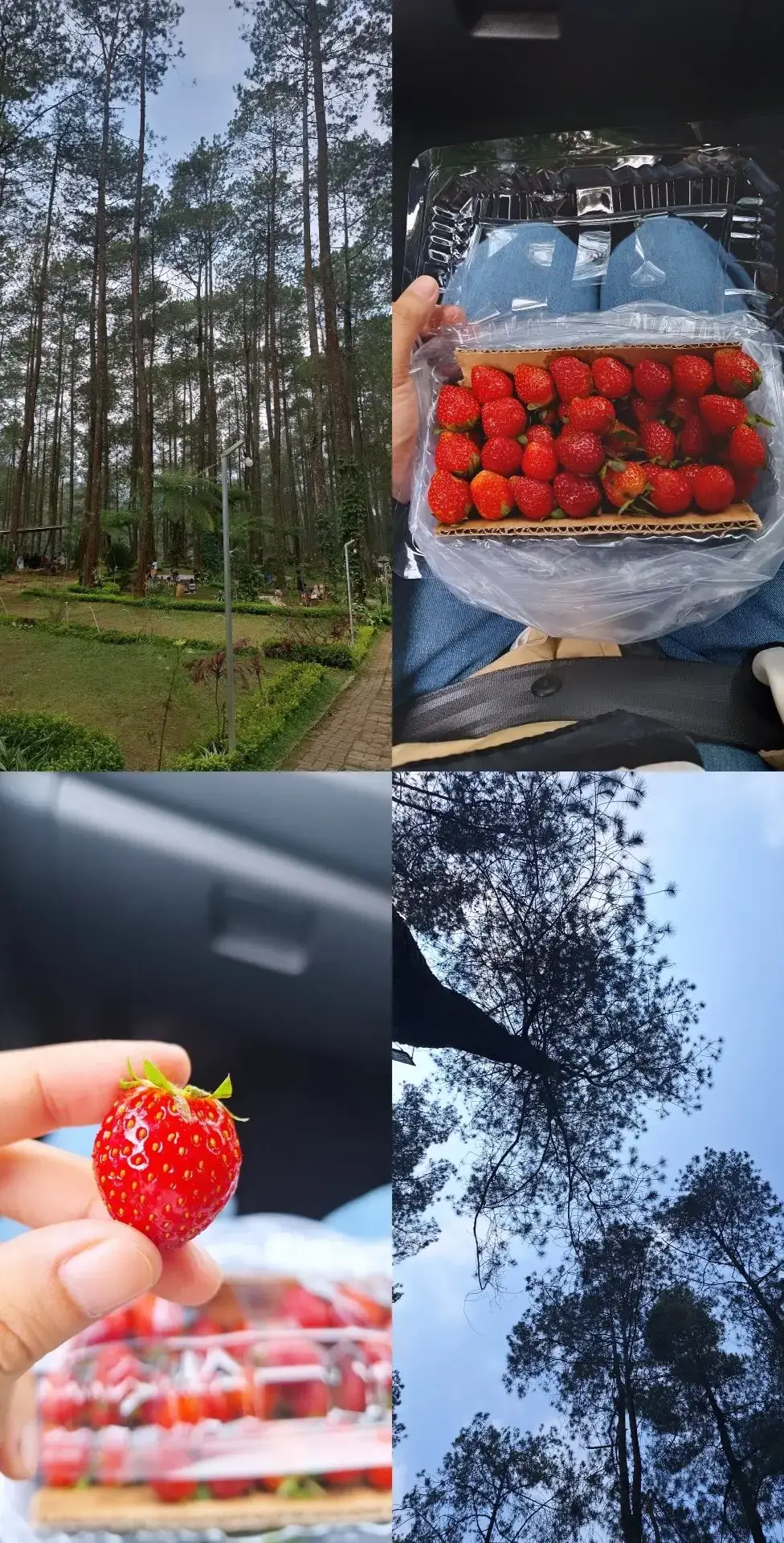 Random 🔙🔚🔛🔜🔝