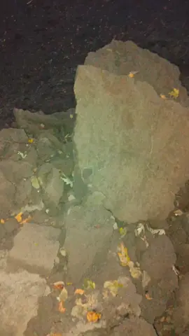 #gym #лебіга #українапонадусе💙💛 #перемогазанами💙💛💪 #путінхуйло🔴⚫🇺🇦 #stopwar 