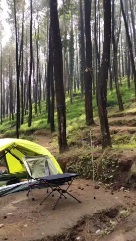 yang bikin ketagihan buat camping 🍃 #campvibes #nature #campinglife #fyp 