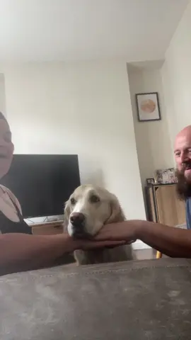 We tried…shes just too cute! 🥹 #handinhand #handinhanddog #toocute #tiktokchallenge #fyp