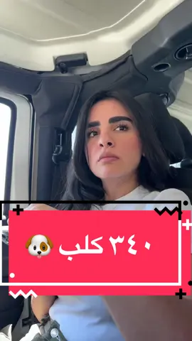 #anaszeina #fyp  وين راحو ؟؟ 