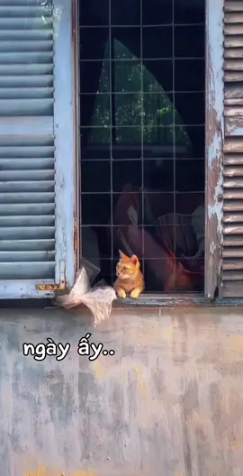 Ngày ấy 🍀 #fyp #xuhuong #trendingvideo #trend #vuichutchut #xuhuongtiktok #emellata #ngayay 