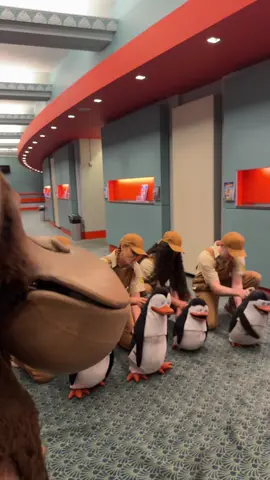 The penguins rehearsing their big number 🐧 #fyp #foryoupage #madagascar #penguinsofmadagascar #dreamworks #theatrekid #musicaltheatre 
