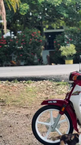 😮‍💨 #ex5dream #ar80putih #boonsiewhonda #xybca 