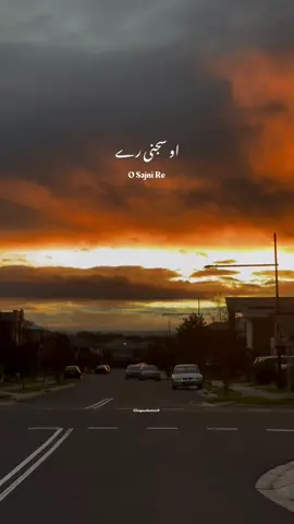 O sajni Re - Lapata Ladies - Latest Trending Song #CapCut #osajnire #lapataladies #netflix #arijitsingh #glimpseofnature9 