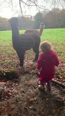 Oops #fyp #foryoupage #fail #funny #baby #animals #gross 