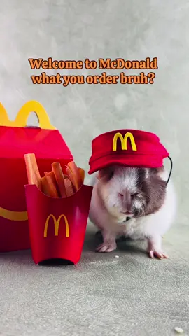 What would you order if Peridot is working the drive thru lane?? 😁 . . . #guineapig #guineapigoftheday #guineapigsoftiktok #guineapiggies #guineapiglove #guineapigindonesia #cavy #cavies #cavia #cavyoftheday #caviesofinstagram #cavycuteness #cavyslave #cavylove #petphotography #smallanimal  #petoftoday #petoftheweek #fuzzypet  #kawaiipet #天竺鼠 #荷兰猪 #モルモット #モルモットのいる生活 #cobaya #marmut #marmut_tiktok  #meerschweinchenauftiktok #PetsOfTikTok #หนูตะเภา 
