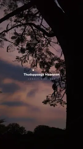 #tamilmuser #lonelygirlbgm #lonely.girl_bgm #whatsapp #freenbecky  #sad #bgm #tiktoktainment #🖤🥀 #thanimai #tamilbgm #capcut #fyp #fyppppppp #tamilsonglyrics #whatsapp_status #feelings #love_status #best #face #tamilponnu #tamil #foodtiktok #foryou #foryoupage #tamiotiktok #nowtranding #nostagic #india #indian #lo #vibe #share #bestmusic #lovetoday #ennaivittu #friend #status #beauti #onemillionaudition #1m #coversong #efxedits #efxstatus #trnding #aedihaimuskhil #feelings #new #yuvanisam #on 