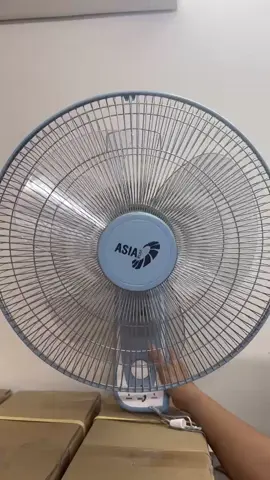 quạt treo tường 2 dây Asia 55w #quat #asia #quatasia #giadungtienich #quạt 