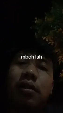 pehhhhh #opojarepolo #mojokerto24jam #jowopride #jowostory #storytime #overlaylyrics 