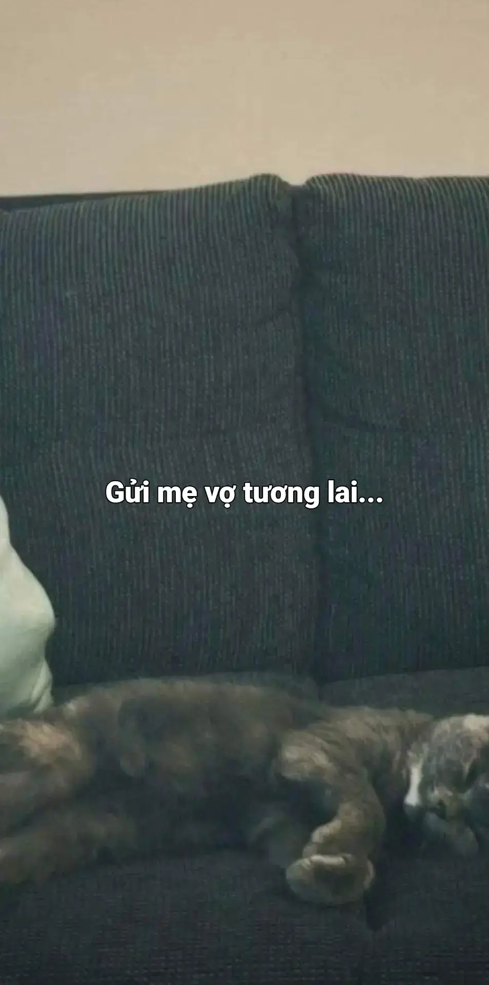 #xuhuong #tamtrang #tinhyeu #vantruoong07_ 