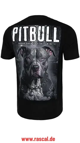 Neue Pit Bull Shirts auf www.rascal.de #pitbull #pitbullwestcoast #pitbulls #streetwear #streetwearshop #fightwear 