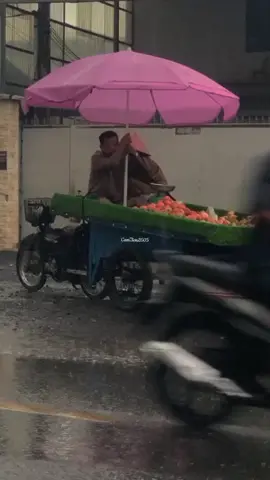 Rồi mai này em nhan sắc phai tàn...? #nhaccoverhay #hoccachyeuem #ctien2605 #xuhuong 