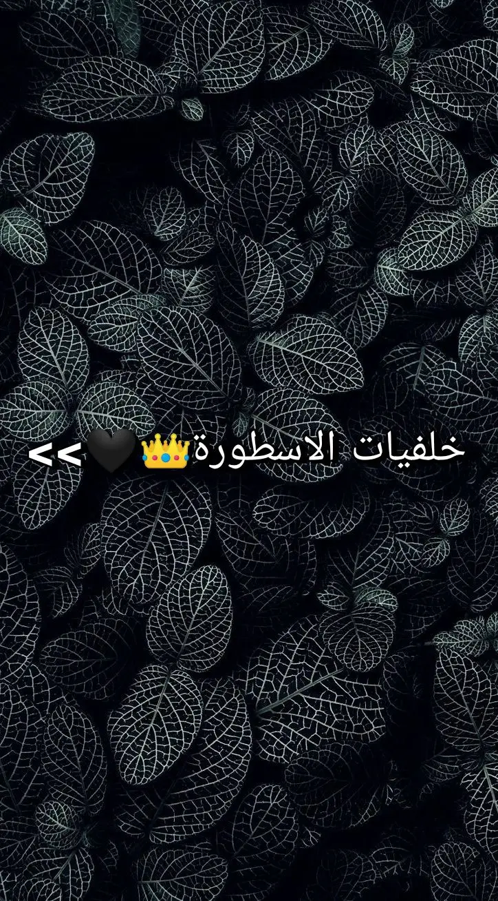 خلفيات الاسطورة👑🖤#خلفيات #fypシ゚viral #fy #foryoupage #fyp #foryou #fypシ #viral #explore 