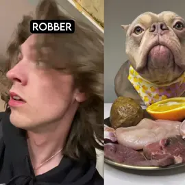How Dog Breeds React to Robbers Part 2 (With Pictu