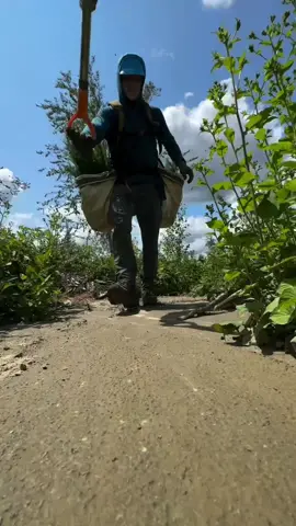 cara cepat tanami hutan gundul#fyppppppppppppppppppppppp #fyp #viraltiktok #kreatif 