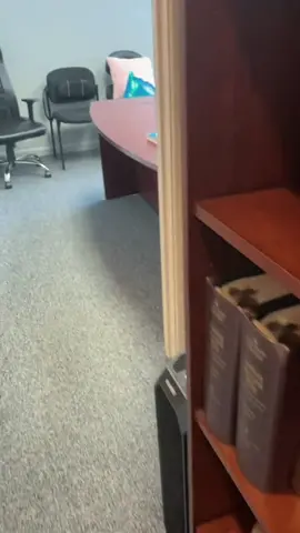 #scarecam #prank #scarepranks #funny #funnyprank #scaring #jumpy #viral #fyp 