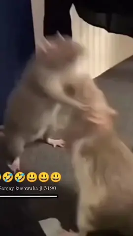 😂😂#foryou #foryoupage #viral #1M #Funny #viral 