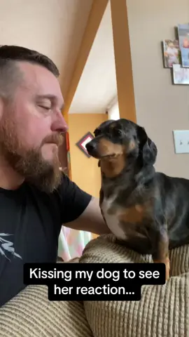 This was the cutest reaction ever 🥺🥺🥺 #RoadTo15M @Pubity Pets #Pubity  (Jason Morrison via ViralHog)