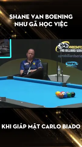 Shane Van Boening như gà khi găp mặt với Carlo Biado #billiardpoolvn #billiardvn #shorts
