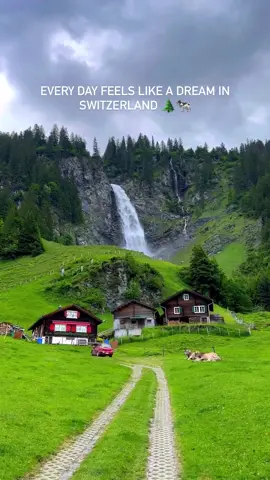 ✨ Beautiful Switzerland 🇨🇭⛰️🏡🪴 #fyp #nature #switzerland #swissaround #travel #naturevibes #viral #100k 