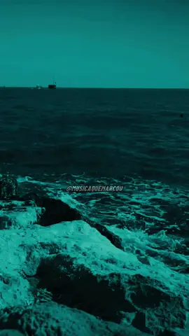 ESSA MARCOU! 🩵❤️ 🎙️ Phil Collins 🎵 Everyday #philcollins  #everyday  #90smusic  #Flashback  #lyrics  #tipografia  #traducaodemusica  #musicaromantica 