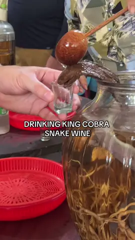 Very very very cool experience today as we traveled through the Mekong Delta here in Vietnam #travel #snake #vietnam #mekongdelta #Vlog #food 