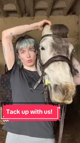 the queen returns #tackupwithme #tackup #equestrian #horsetok #equestrianvibes #equestrianlife #horseriding #horsetiktok #equine #horsesoftiktok #horsegirl #fyp   