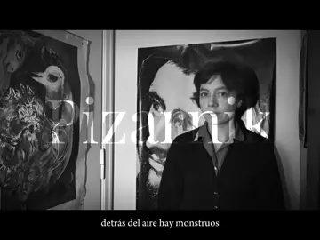 El Despertar | Alejandra Pizarnik  poema completo. #libros #literaturauniversal #literatura #alejandrapizarnik 