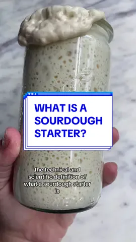Replying to @. What is a sourdough starter? #sourdoughtok #sourdoughstarter #sourdough #sourdoughstarterfeeding #breadtok #sourdoughstarters #sourdoughstartertips #whatisasourdoughstarter 