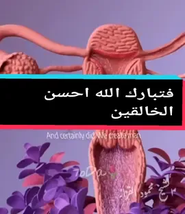 مراحل تكوين الجنين فى بطن الام  تبارك الله احسن الخالقين  #تكوين_الجنين  #الجنين #ولقد_خلقنا_الانسان_من_سلاله_من_طين #القران_الكريم #معجزات_القرآن_الكريم #فتبارك_الله_أحسن_الخالقين #القزاز #محتوى_هادف #سبحان_الله_وبحمده_سبحان_الله_العظيم #اللهم_صلي_على_نبينا_محمد #اكسبلورexplore  @الشيخ محمود القزاز @الـــقـرآن الـكــريـم🌿💙 @منصور السالمي ✪ 