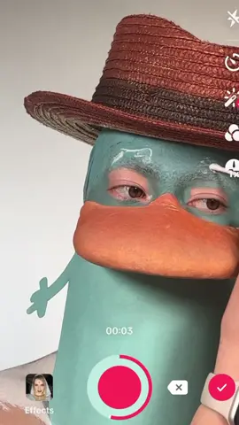 AHH i actually hate how this turned out 😭 but still posting bc sometimes looks hust dojt turn out as planned #creativemakeup #sfxmakeup #perrytheplatypus #phineasandferb 