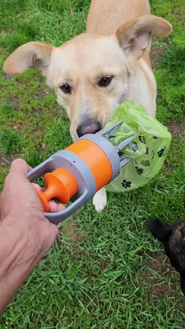 Portable 💩 pooper scooper #tiktokshopping #homefinds #TTSACL #tiktokshopmothersday #ttcontentcamp #dealdash 