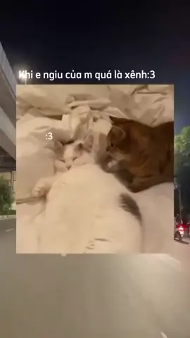 #xuhuong #trending #chillwithtiktok kh cưỡng lại vẻ xênh đẹp đó cụa emiu😛