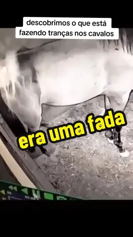 vejam a criatura que trança os cavalos #videos assustadores #cruatura estranha #fadas 