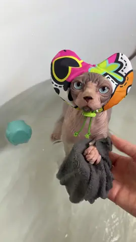 Couldn’t get Kiri out of the bath 😂 #sphynx #sphynxcat #cat #cats #hairlesscat #asmr