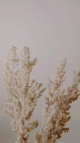 Jum'at mubarok, semoga Allah jadikan kita orang-orang yang selalu bersyukur dan berprasangka baik akan ketetapan Allah🤍 #reminder #reminderislami #quotesislam #quotesoftheday #tiktokviral #trendingtiktok #motivasiislam 