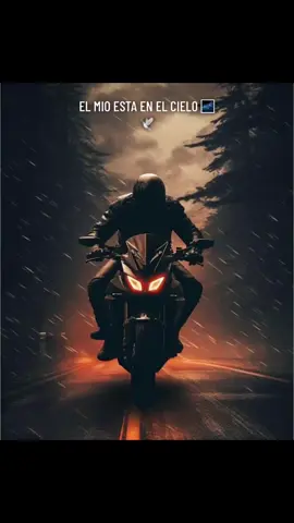 Vuela alto brot 🕊️🫂 #motorbike  #motobikers❤️  #motos  #ktmlover  #ktmrc200  #ktmrc390  #motosdeportivas  #ktmrc125cc  