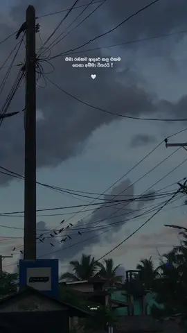 Amma🌎🫀…..! #amma #world #statusvideo #fypシ゚viral #viraltiktok #sinhalaquotes #fypシ #whatsappstatus #1millionaudition #🕊 