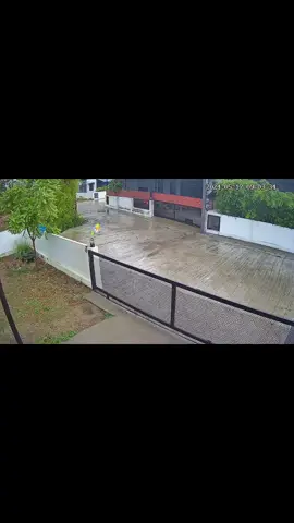 #อยากไปอยู่วัด #หมาตลก #เทรนด์วันนี้ #ข้าวหอมหมาดื้อ🐕 