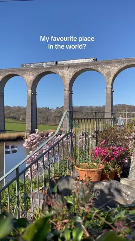 POV: you found the best ice cream in Cornwall! 🍨 Just hop on The Tamar Valley Line train and in just 30 mins you’ll arrive into Calstock. Thank us later! #thingstodoincornwall #hiddengem 