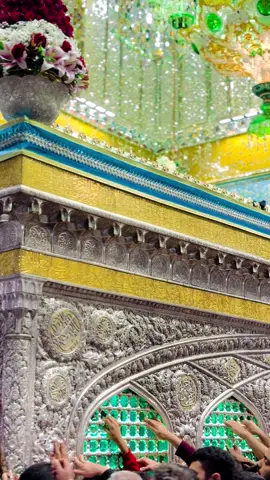 #ضريح_الامام_الرضا_عليه_السلام #مشهد_ايران💚 #غريب_طوس #CapCut #viral #foryou #fyp ##فولو_اكسبلور #محمد_الجنامي 