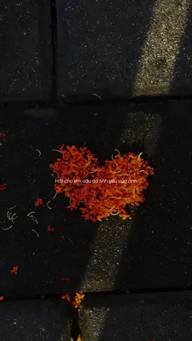 Làm người luôn yêu em - Sơn Tùng MTP  #capcut #maucapcut #lamnguoiluonyeuem #sontung #sontungmtp #lyrics #poonbae_25 