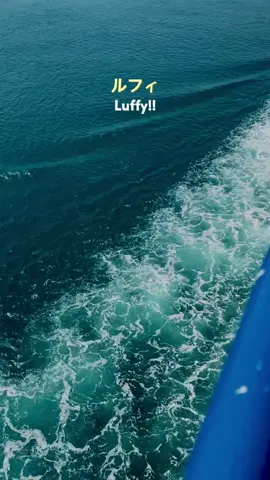 Akhirnya bisa pake sound ini #onepiece 