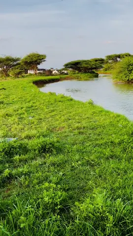 Halkeen qiyaas dhulka ay tahay #sahanvlogs1 #frypgシ #somalitiktok #foryou #foryou 