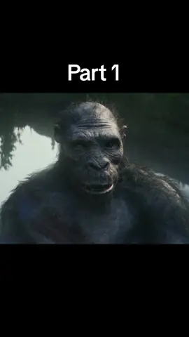 Part 1 #latestmovies #bestmovie #kingkong #dubbed #hindimovie #goviral #fyp 