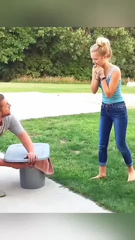 surprise gift ❤  #pet #cat #dog #cute #animals #foryou #typ