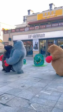 #funnyvideos #funny #funnyanimals #comedyvideos #comdy #lucu #fyp #fypシ #foryou #xuhuong 